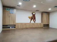 冷凍船 販売中