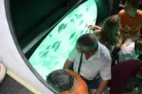 旅客船 販売中