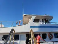フェリー 販売中