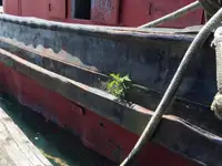 曳船 販売中