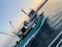 巻き網漁船 販売中
