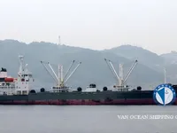 冷凍船 販売中
