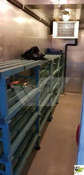 クルーズ船 販売中