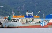 冷凍船 販売中