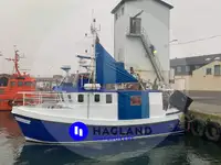 生きている魚のキャリア 販売のため