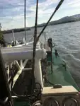 浚渫船 販売中