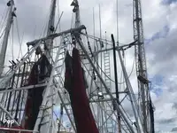 トロール漁船 販売中