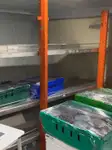クルーズフェリー 販売中
