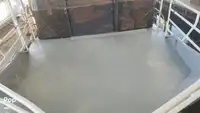 フェリー 販売中