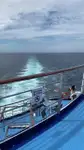 旅客船 販売中