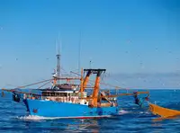 Trawler 販売のため