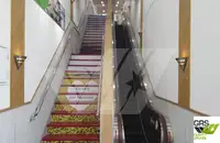 Ro-Ro船 販売中