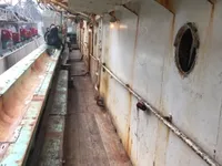 イカ釣り漁船 販売中