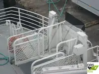 カタマラン 販売中