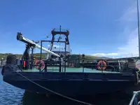 冷凍船 販売中
