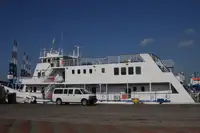 カタマラン 販売中