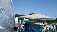 コンテナ船 販売中