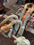 トウボート 販売のため