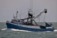 巻き網漁船 販売中