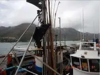 トロール漁船 販売中