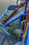石油/化学タンカー 販売中