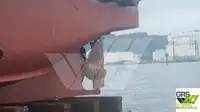 曳船 販売中