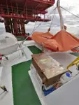 クルーボート 販売のため