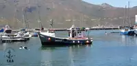 トロール漁船 販売中