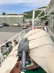 曳船 販売中