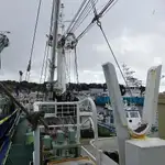 巻き網漁船 販売中