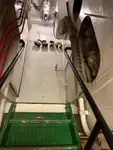 曳船 販売中