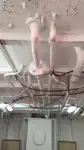 曳船 販売中