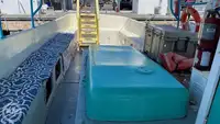 クルーズ船 販売中