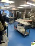 クルーズ船 販売中