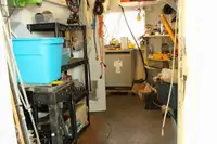 フェリー 販売中
