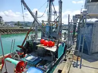 Trawler 販売のため