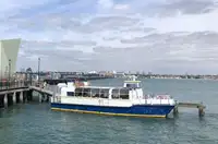 フェリー 販売中