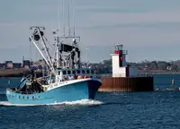 Purse seiner 販売のため