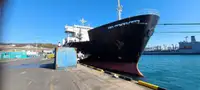 Ro-Ro ship 販売のため