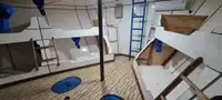 曳船 販売中