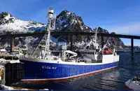 Purse seiner 販売のため