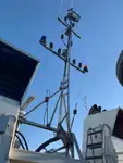 曳船 販売中