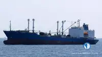 冷凍船 販売のため