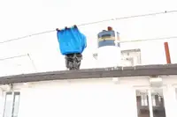 フェリー 販売中