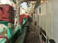 イカ釣り漁船 販売中