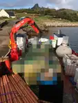 作業船 販売中
