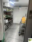 クルーズ船 販売中