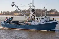 Purse seiner 販売のため