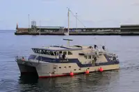 測量船 販売中