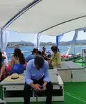 フェリー 販売中